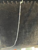 পায়েল - Image 2