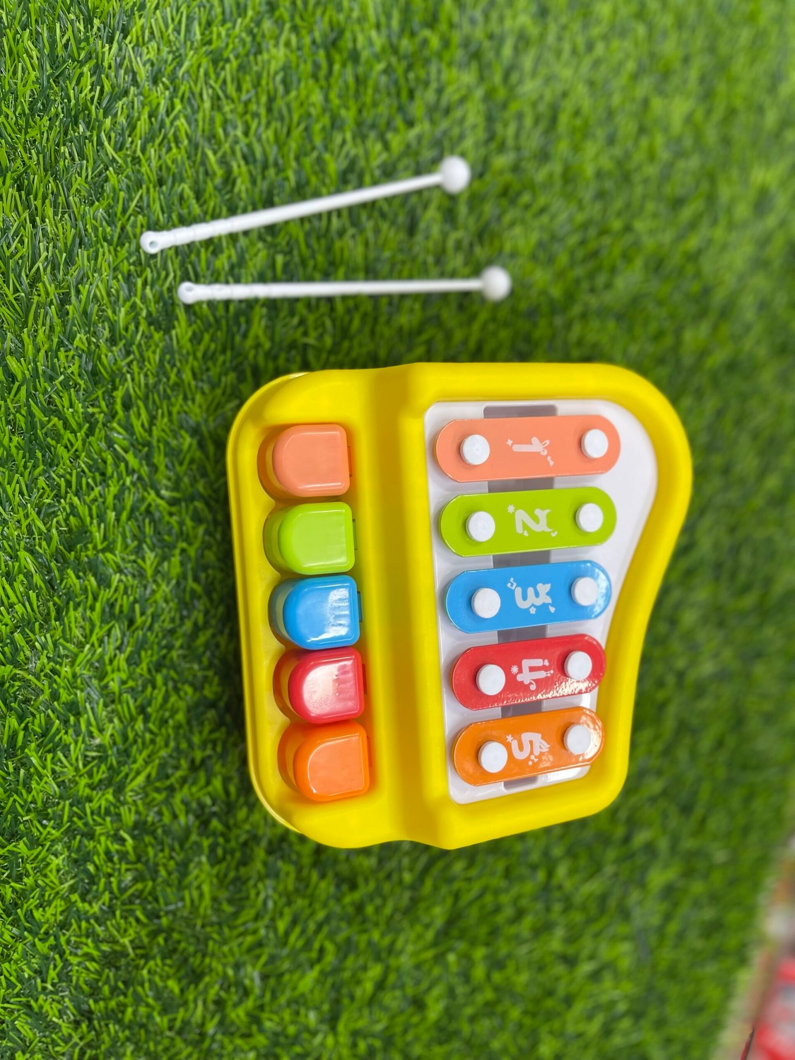 img_3449 জলোফোন মাঝারি সাহজ। - Image 1